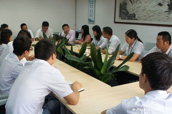 佛山市南海芯华电器有限公司管理变革