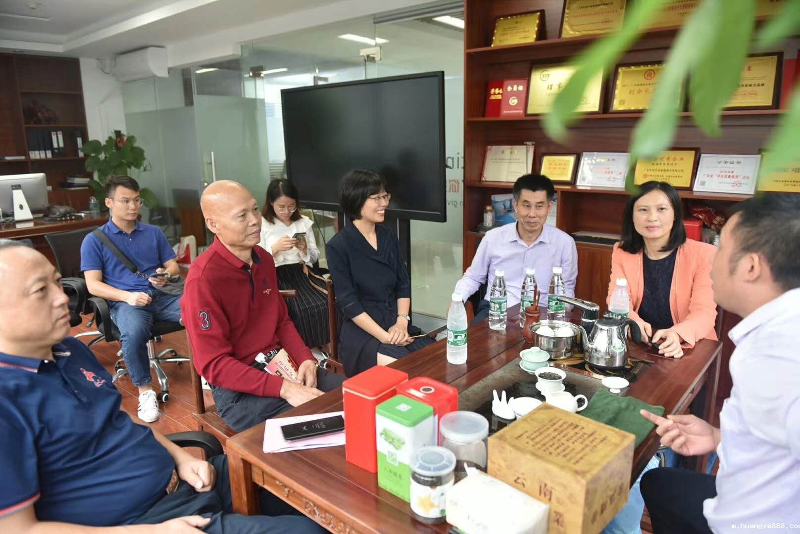 南海区退役军人事务局王局长等领导一行来我司指导工作 南海区退役军人事务局王局长等领导一行来我司指导工作